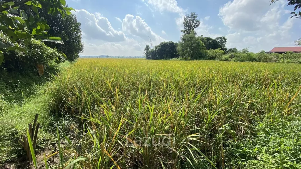 4 Rai Land for Sale