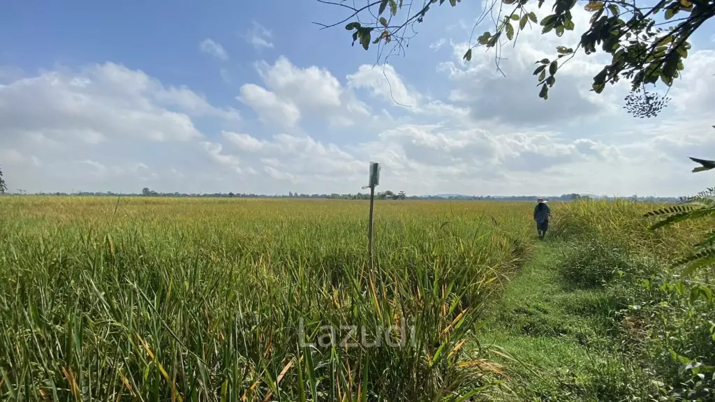 4 Rai Land for Sale