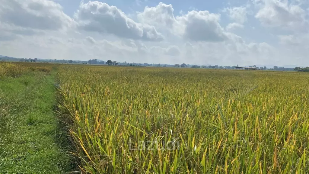4 Rai Land for Sale