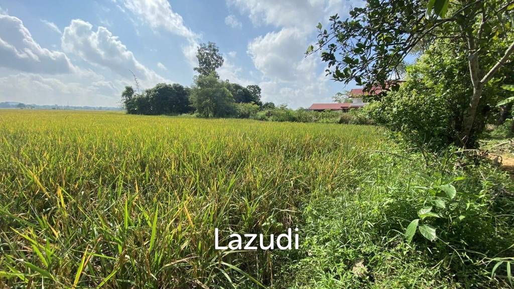 4 Rai Land for Sale