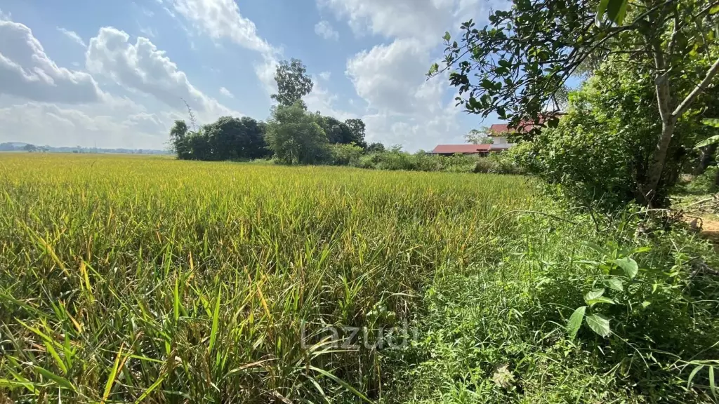 4 Rai Land for Sale
