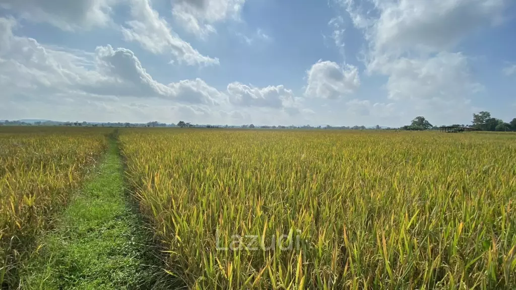 4 Rai Land for Sale