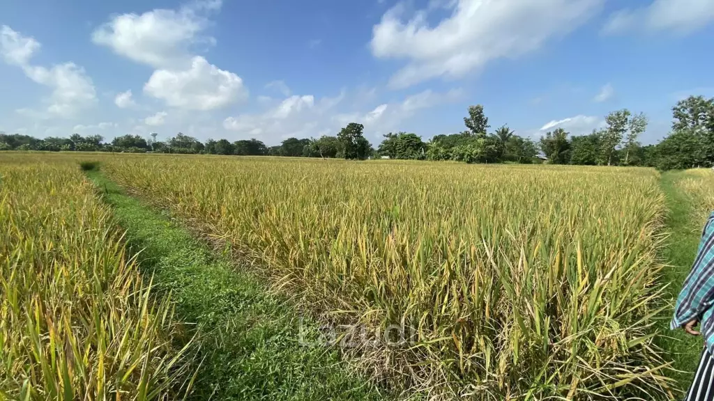 4 Rai Land for Sale