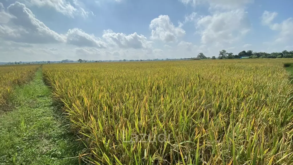 4 Rai Land for Sale