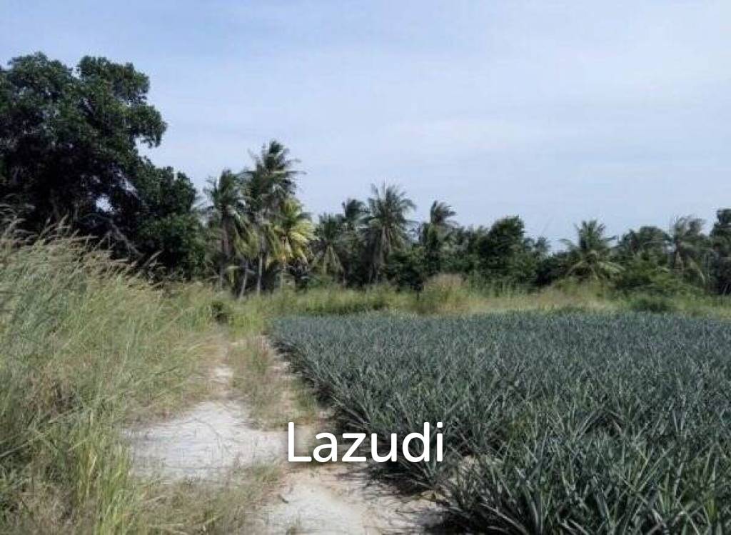 Land plot of 7 Rai available at huge discount of 3.95M total for all