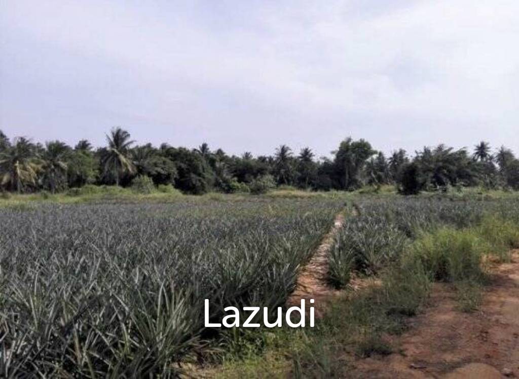 Land plot of 7 Rai available at huge discount of 3.95M total for all
