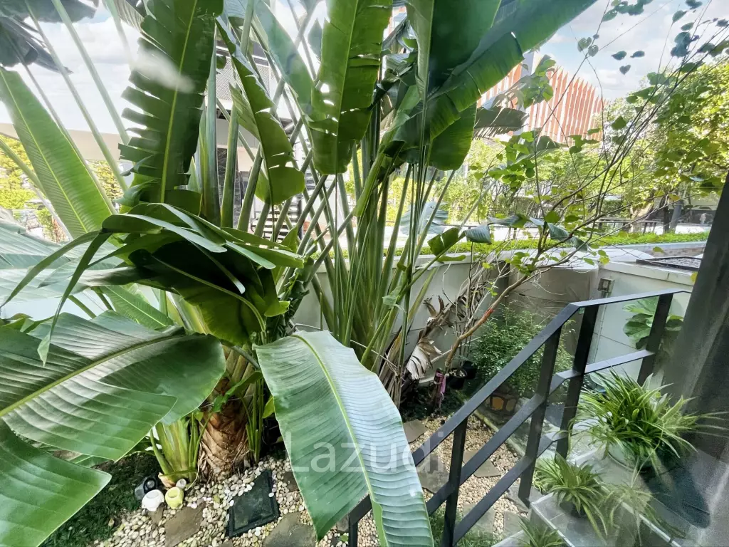 3 Bedroom 3 Bathroom 330 SQ.M Arden Rama 3