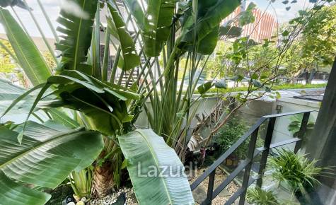 3 Bedroom 3 Bathroom 330 SQ.M Arden Rama 3