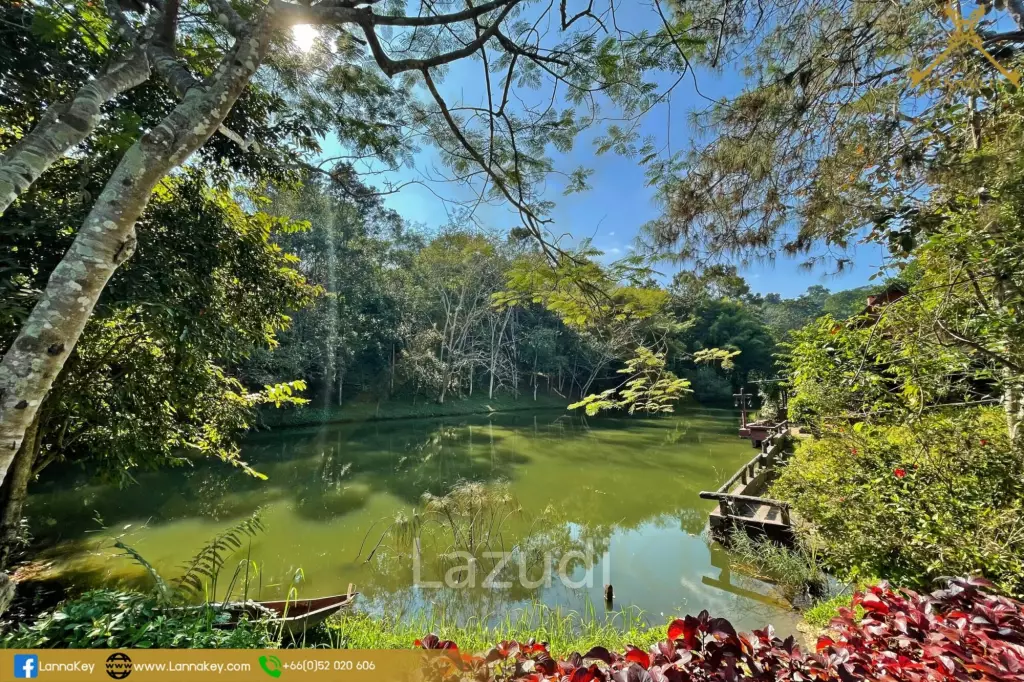 Stunning View Land near Hot Springs