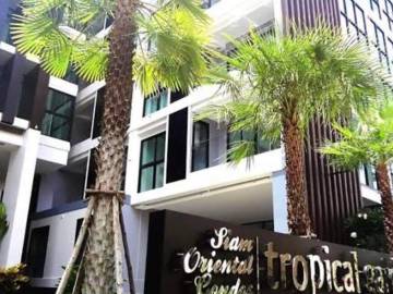 Tropical Garden Pattaya Pratumnak 1 BR for sale Hot Deal