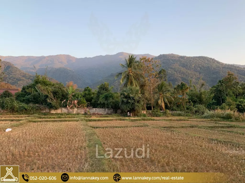 Land Surrounded by Mountains and Beautiful Nature