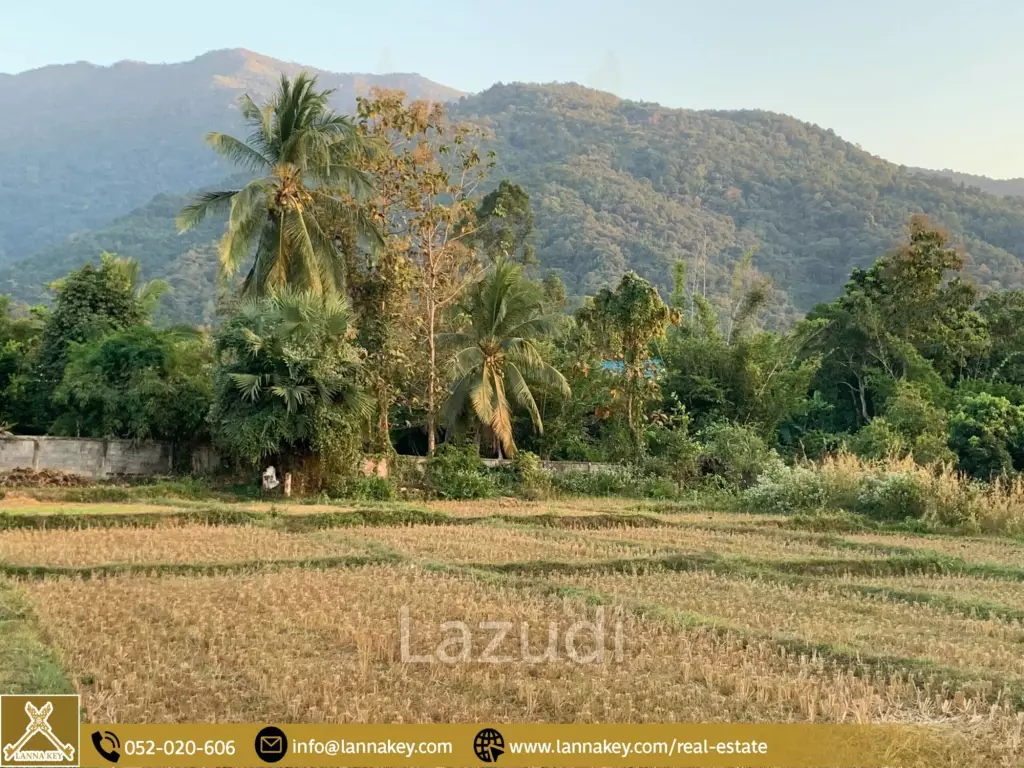 Land Surrounded by Mountains and Beautiful Nature