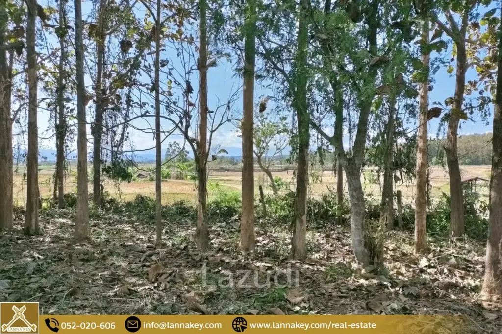 Land Surrounded by Mountains and Beautiful Nature