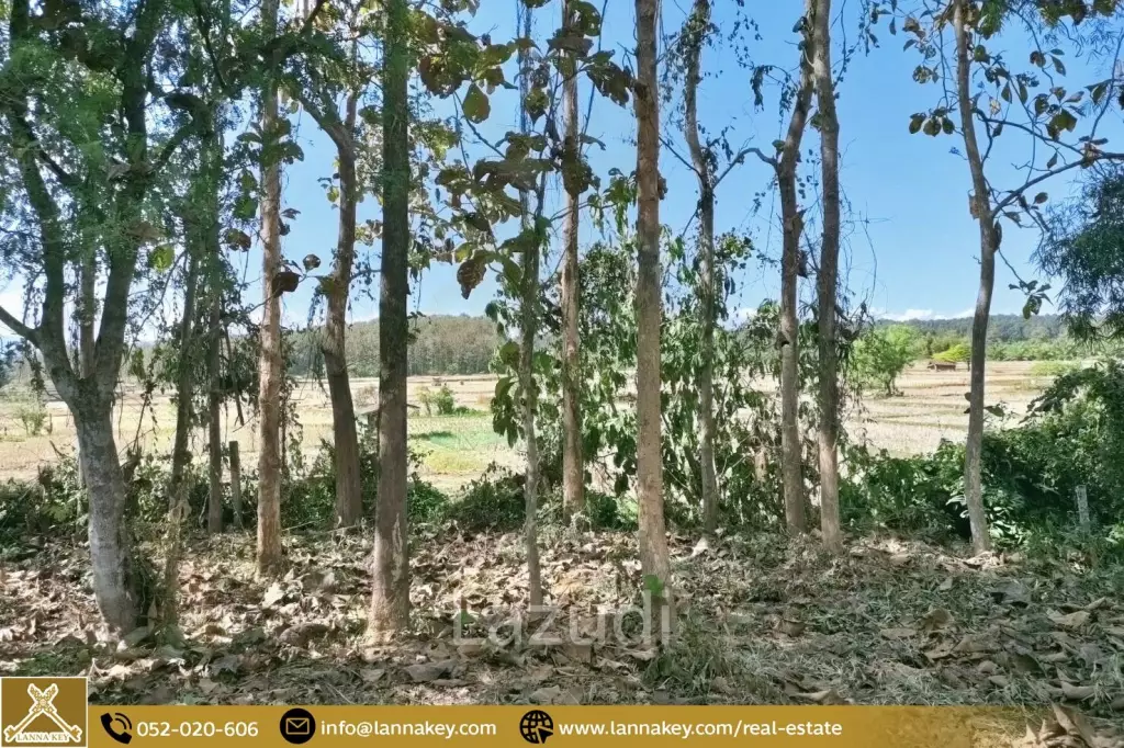Land Surrounded by Mountains and Beautiful Nature