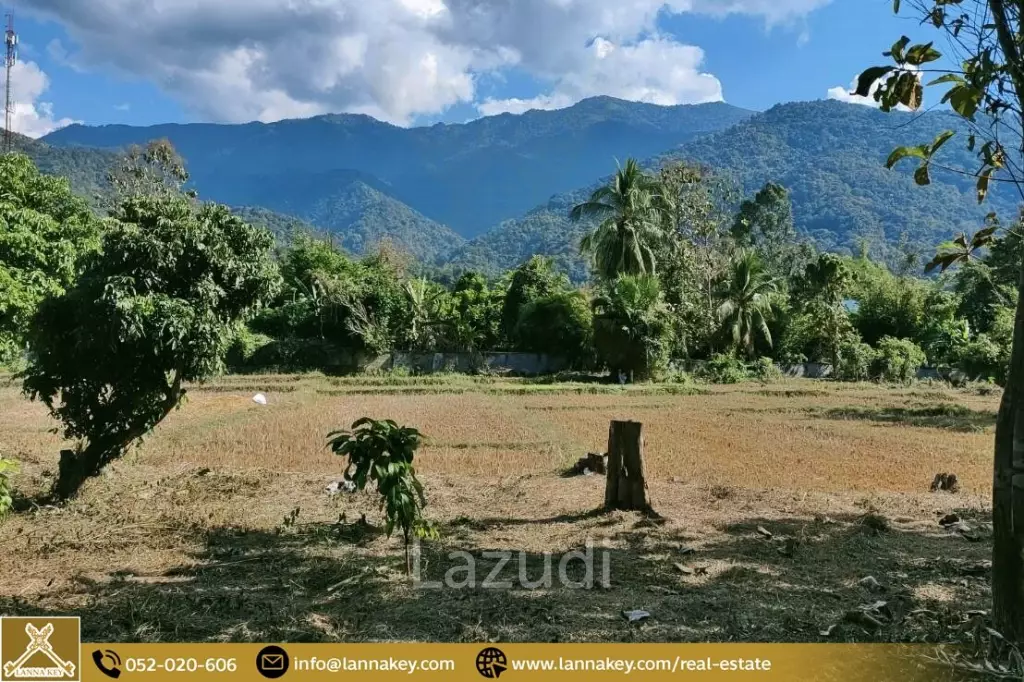 Land Surrounded by Mountains and Beautiful Nature