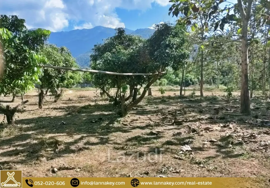 Land Surrounded by Mountains and Beautiful Nature