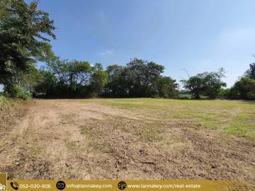 Beautiful Land Next to The Kok River and the road.