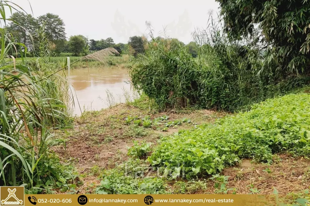Beautiful Land Next to The Kok River and the road.