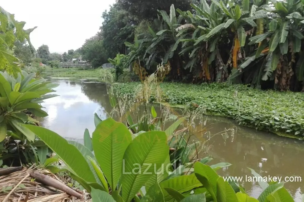 Lanna style Villas for sale