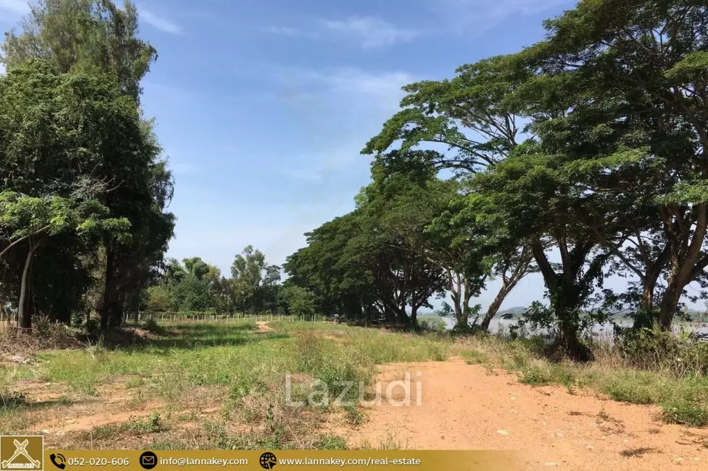 Land in Chiang Sean Next to The Mekong River