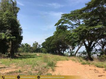 Land in Chiang Sean Next to The Mekong River