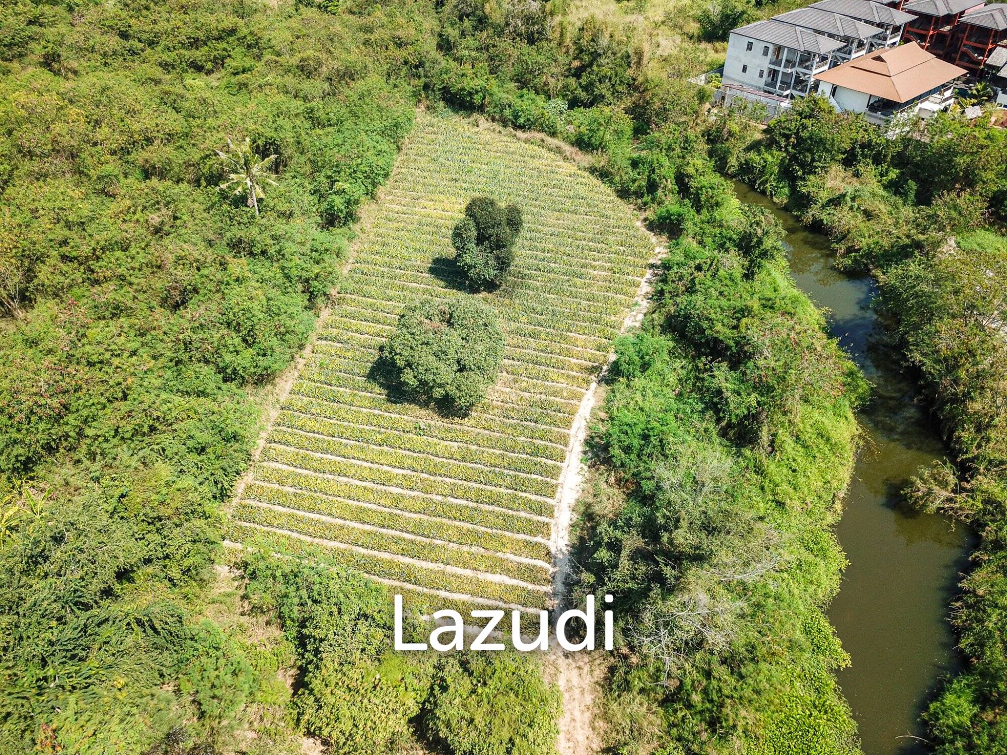 1 Rai 3 Ngan Land For Sale By Sam Phan Nam - Hua Hin 1 Rai 3 Ngan Land For Sale By Sam Phan Nam - Hua Hin