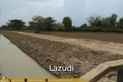 Land for Sale for Agricultural Development in Tha Sai.