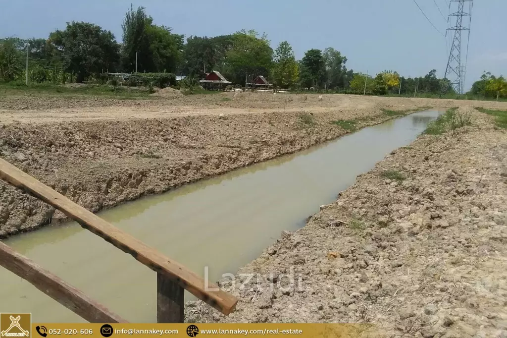 Land for Sale for Agricultural Development in Tha Sai.