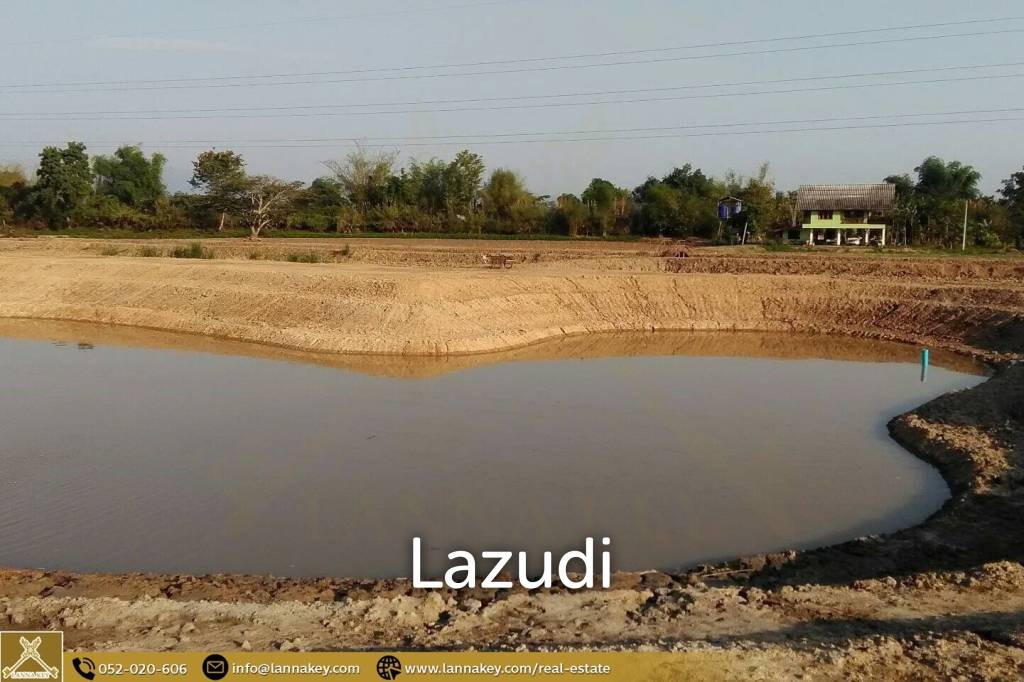 Land for Sale for Agricultural Development in Tha Sai.