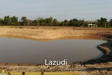 Land for Sale for Agricultural Development in Tha Sai.