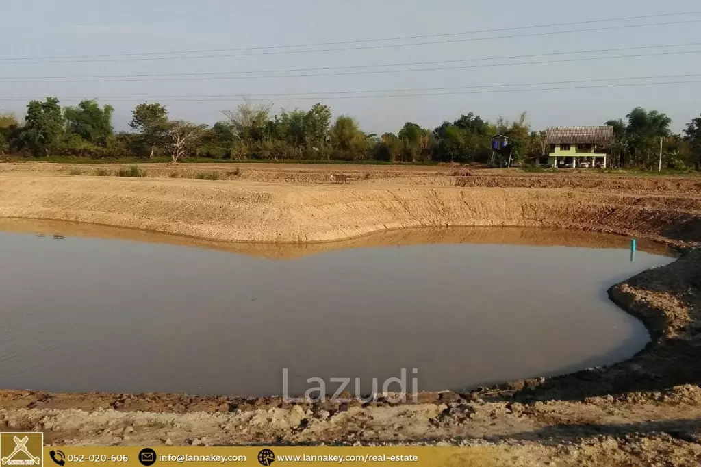 Land for Sale for Agricultural Development in Tha Sai.