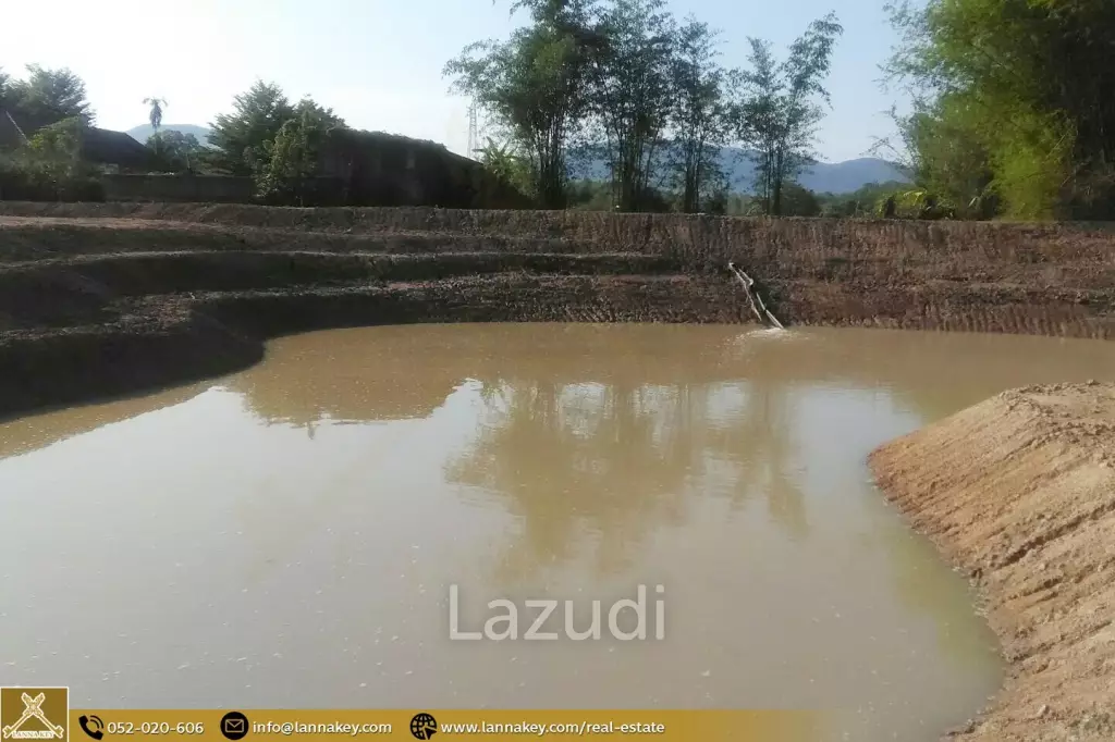 Land for Sale for Agricultural Development in Tha Sai.
