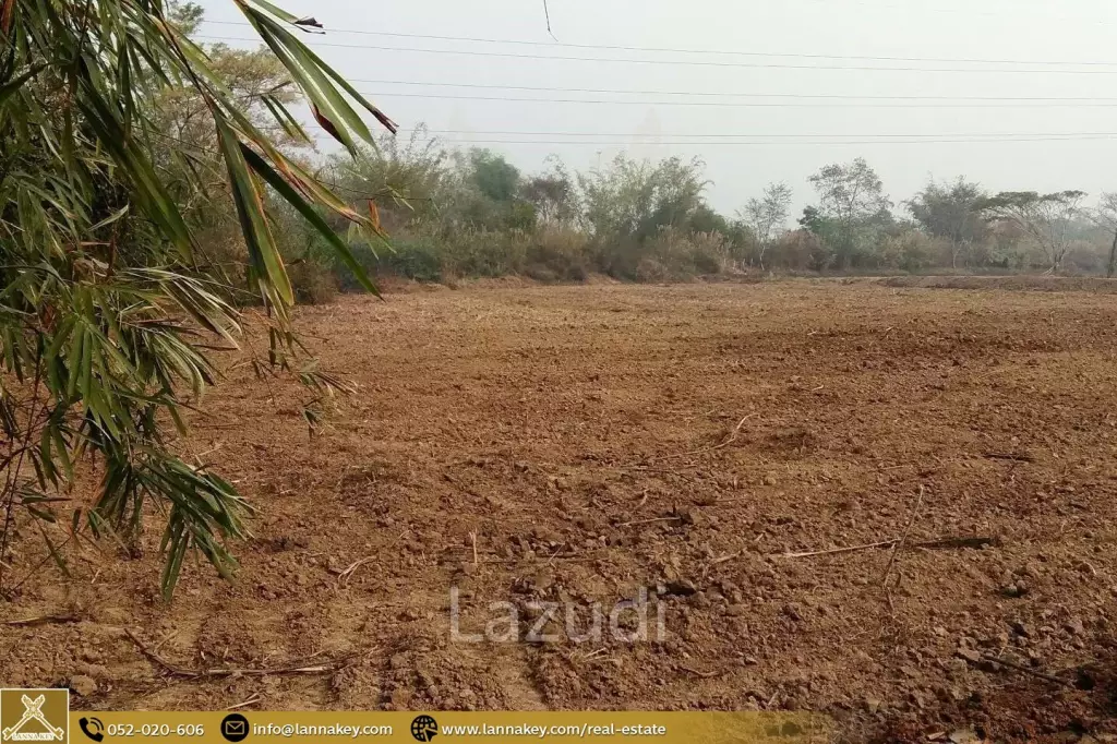 Land for Sale for Agricultural Development in Tha Sai.
