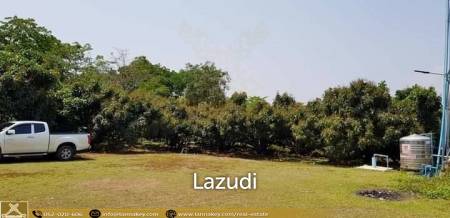 Nice Location Land with Longan Farm for Sale