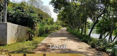 Nice Location Land with Longan Farm for Sale
