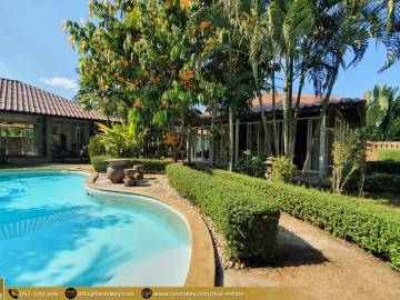 Boutique Villa and Property for Sale
