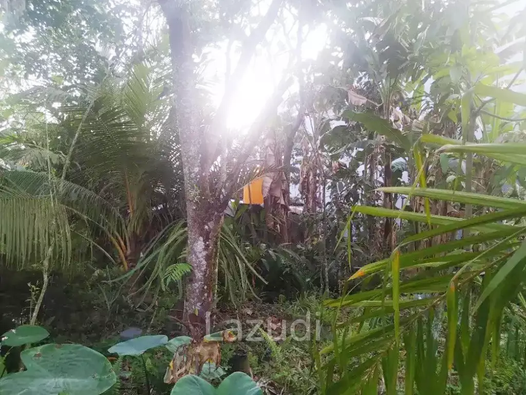 Jual Tanah dan Rumah di Pinggir Jalan Dekat Citimall Sampit, RSUD Dr Murjani Sampit, Bundaran Balanga