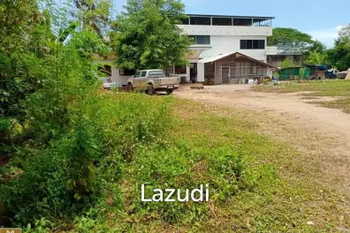 Land for sale in Wat Ket Subdistrict