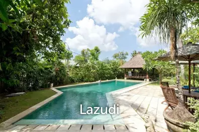 Tropical hideaway in Berawa