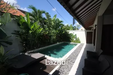 Stunning Villa investment For Lease in Umalas