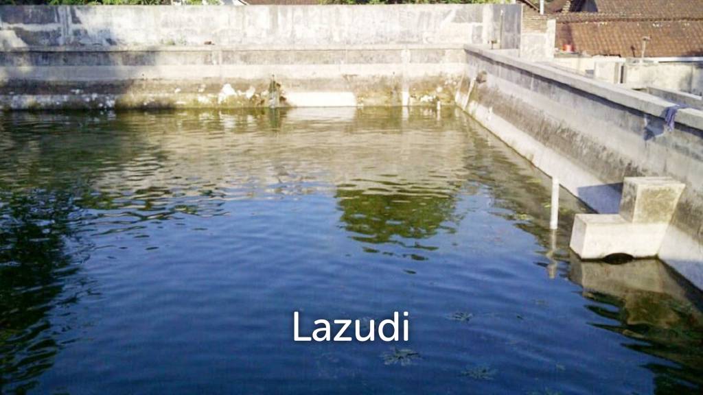Jual Rumah Plus Usaha Burung Walet dan Budidaya Ikan di Gandusari Blitar Dekat Candi Kotes, Pasar Tugu