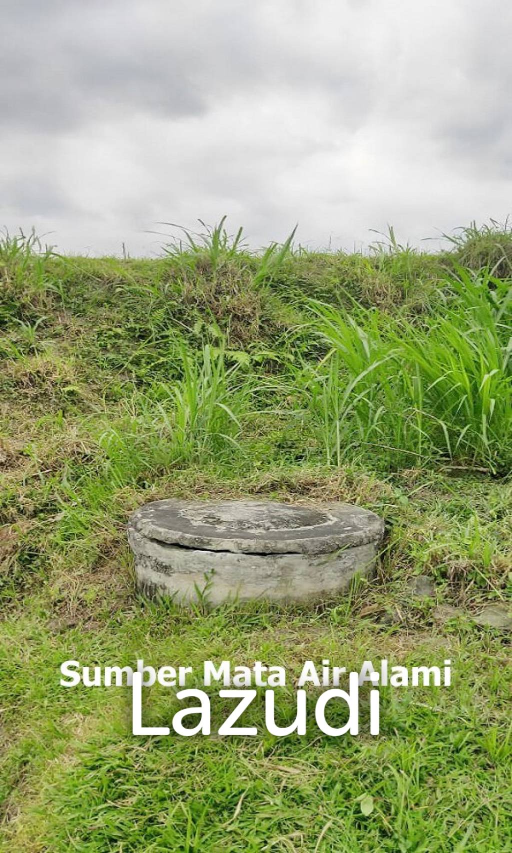 Jual Rumah Plus Usaha Burung Walet dan Budidaya Ikan di Gandusari Blitar Dekat Candi Kotes, Pasar Tugu