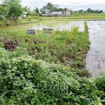 Jual Tanah di Bantul Yogyakarta Dekat RS Rachma Husada, Desa Wisata Potrobayan, Taman Opak Zoo