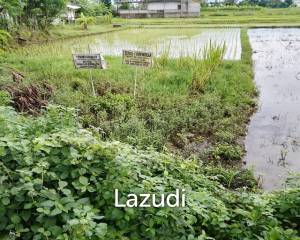 Jual Tanah di Bantul Yogyakarta Dekat RS Rachma Husada, Desa Wisata Potrobayan, Taman Opak Zoo