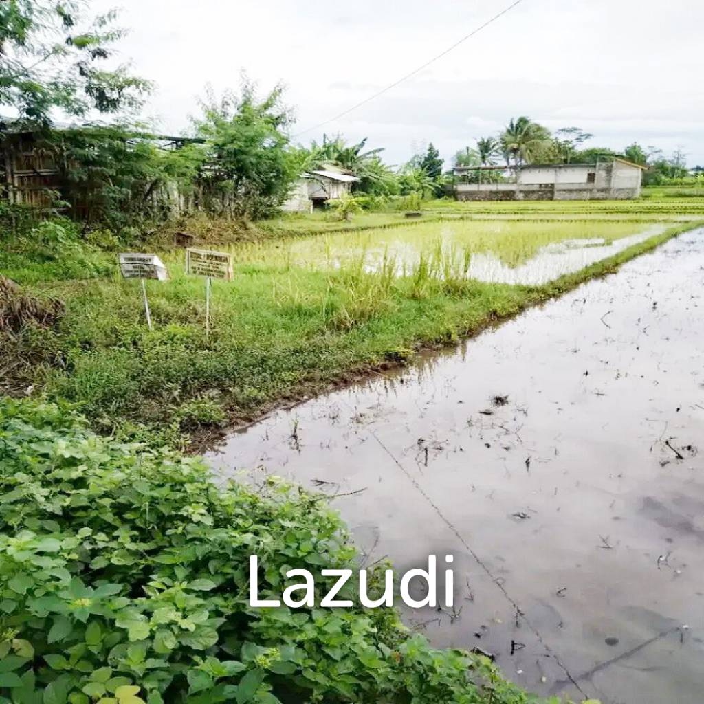 Jual Tanah di Bantul Yogyakarta Dekat RS Rachma Husada, Desa Wisata Potrobayan, Taman Opak Zoo