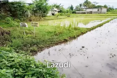 Jual Tanah di Bantul Yogyakarta Dekat RS Rachma Husada, Desa Wisata Potrobayan, Taman Opak Zoo