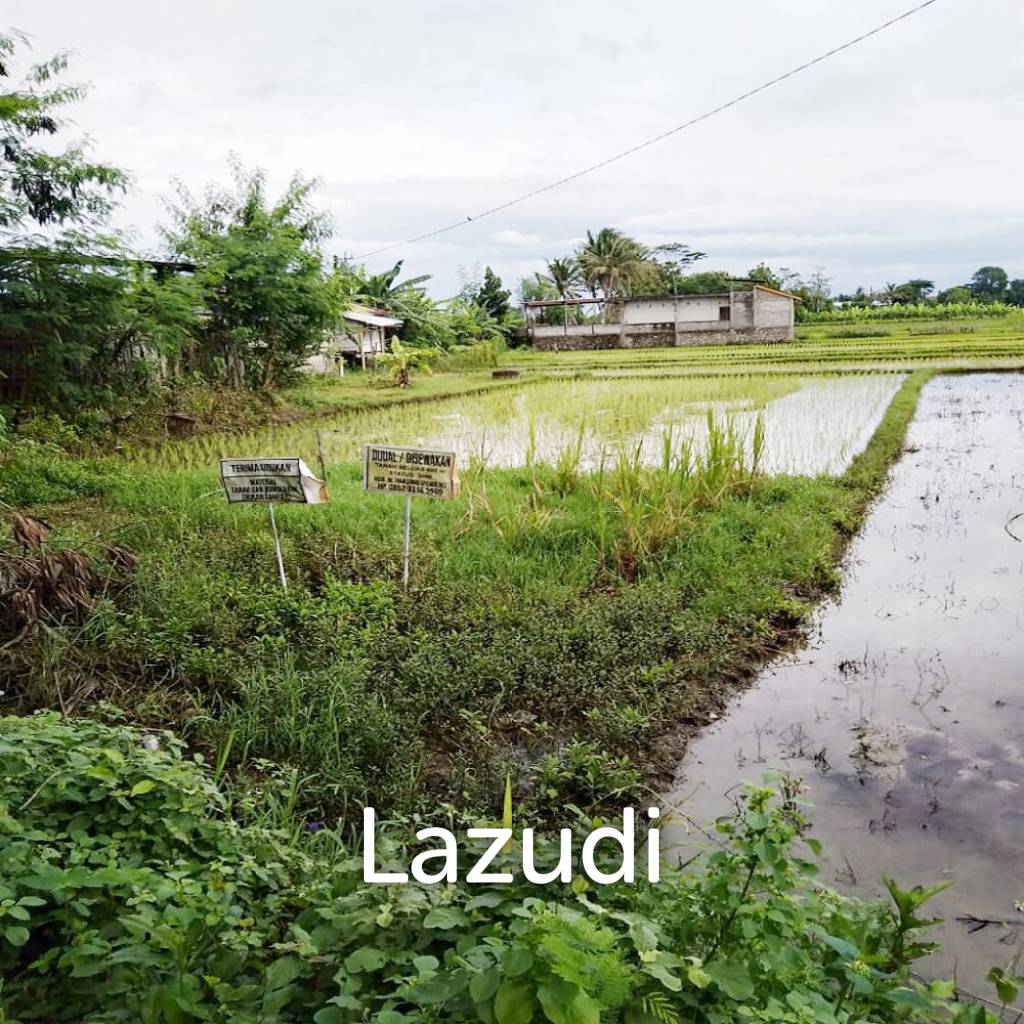 Jual Tanah di Bantul Yogyakarta Dekat RS Rachma Husada, Desa Wisata Potrobayan, Taman Opak Zoo