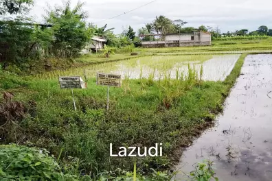 Jual Tanah di Bantul Yogyakarta Dekat RS Rachma Husada, Desa Wisata Potrobayan, Taman Opak Zoo