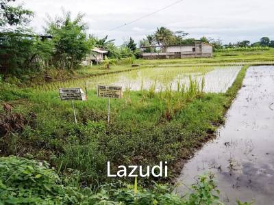 Jual Tanah di Bantul Yogyakarta Dekat RS Rachma Husada, Desa Wisata Potrobayan, Taman Opak Zoo