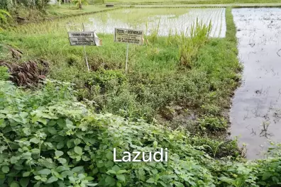 Jual Tanah di Bantul Yogyakarta Dekat RS Rachma Husada, Desa Wisata Potrobayan, Taman Opak Zoo